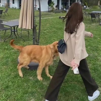 七令诡事录